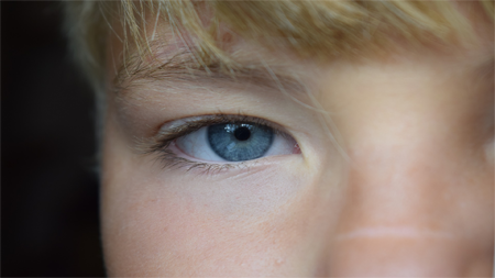 Descolamento de retina pode afetar até 3% das crianças – Jornal da USP